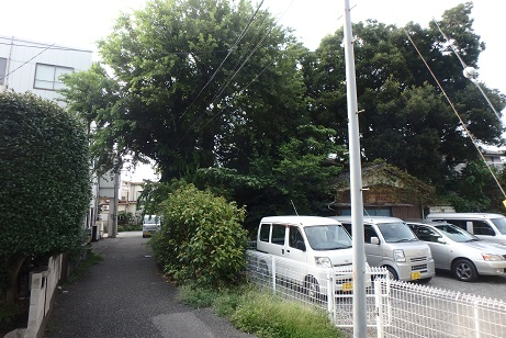 解体前 樹木に覆われた古い建物