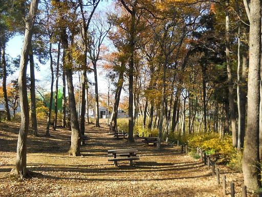 安行原自然の森風景