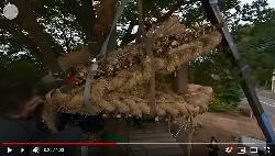 「安行原の蛇造り」~頭部の引き揚げ~