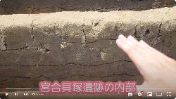 (3)ベルト