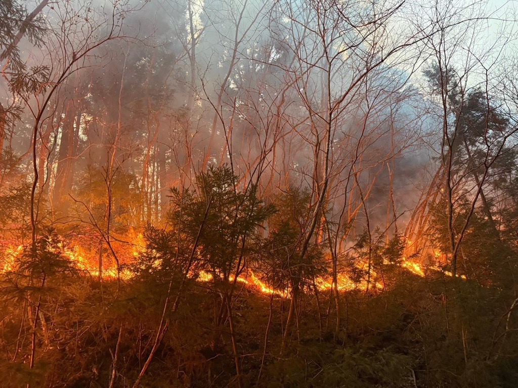 現地の延焼状況