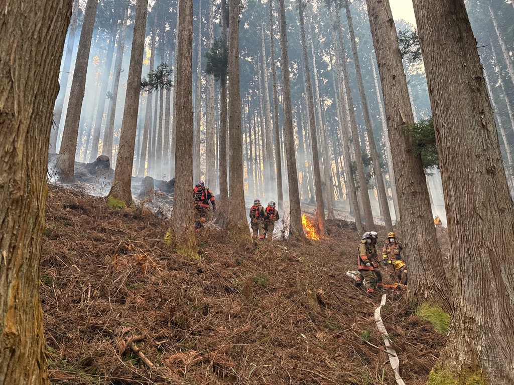 現地で活動中の職員