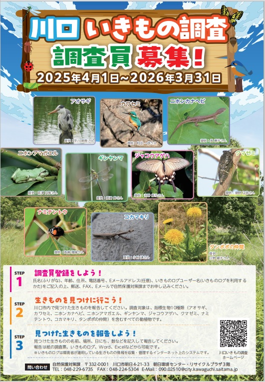 川口いきもの調査ポスター