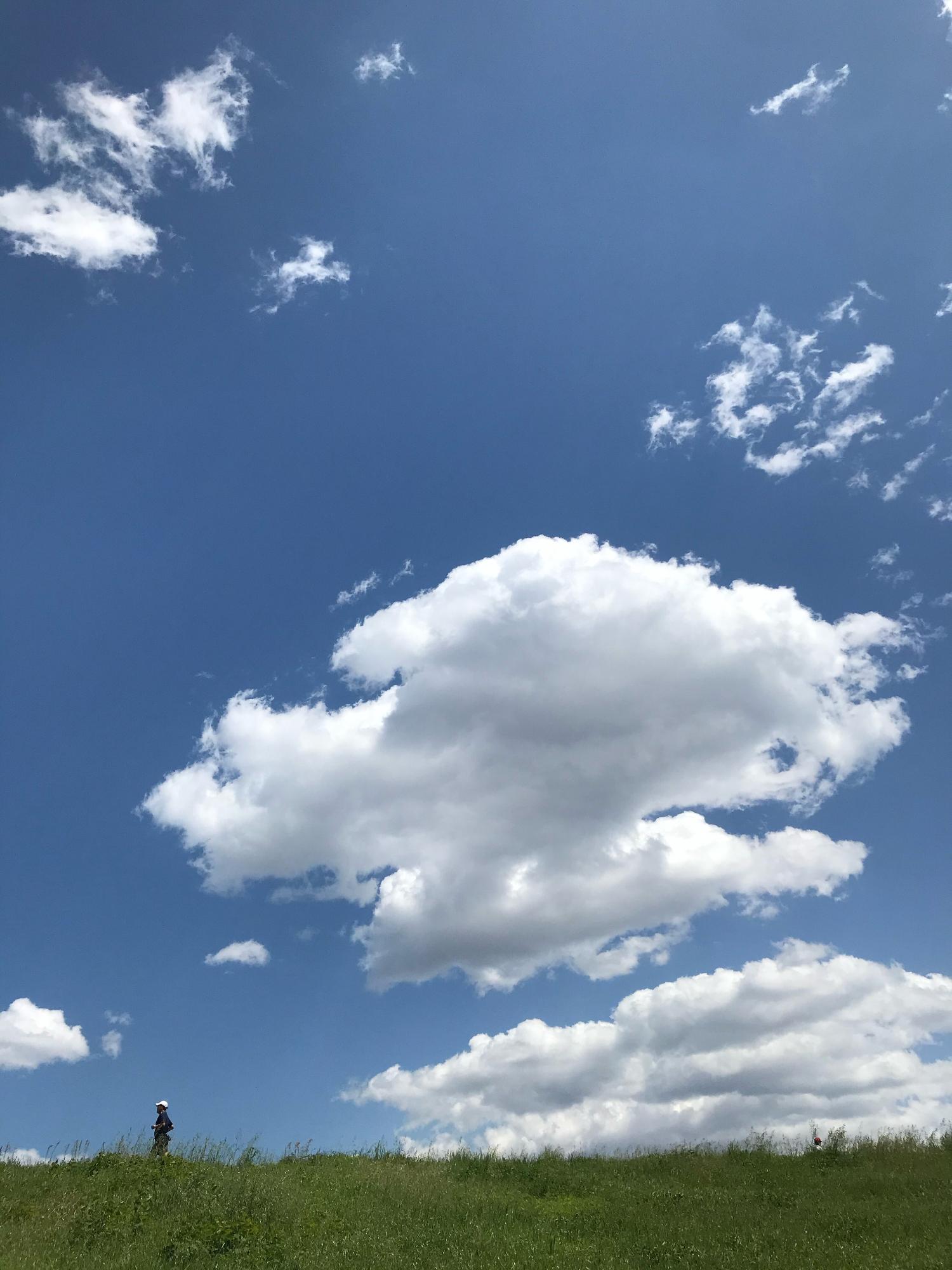 5月号最優秀賞