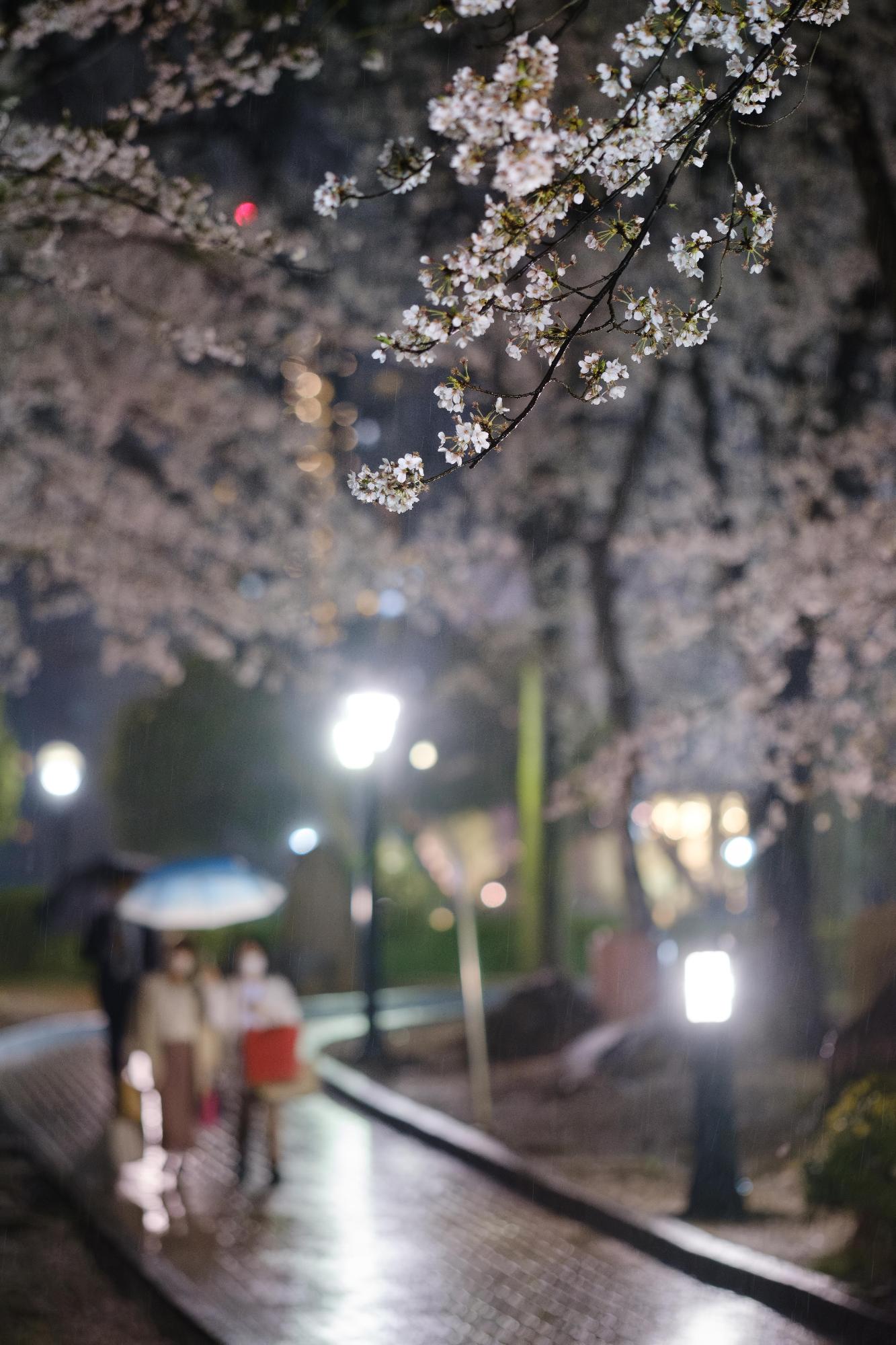 広報かわぐち3月号表紙優秀賞