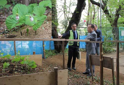 第5回川口クマガイソウまつりで関係者から話を聞く市長の写真