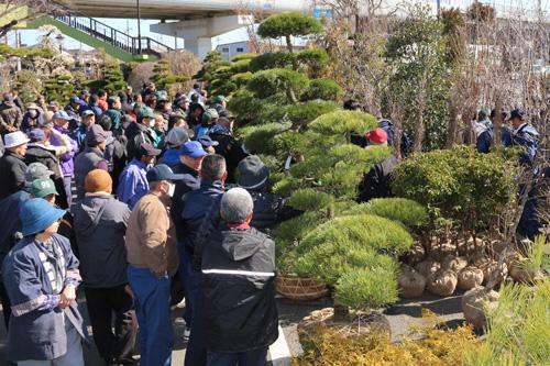 第22回春の植木大せり市の参観者の様子の写真
