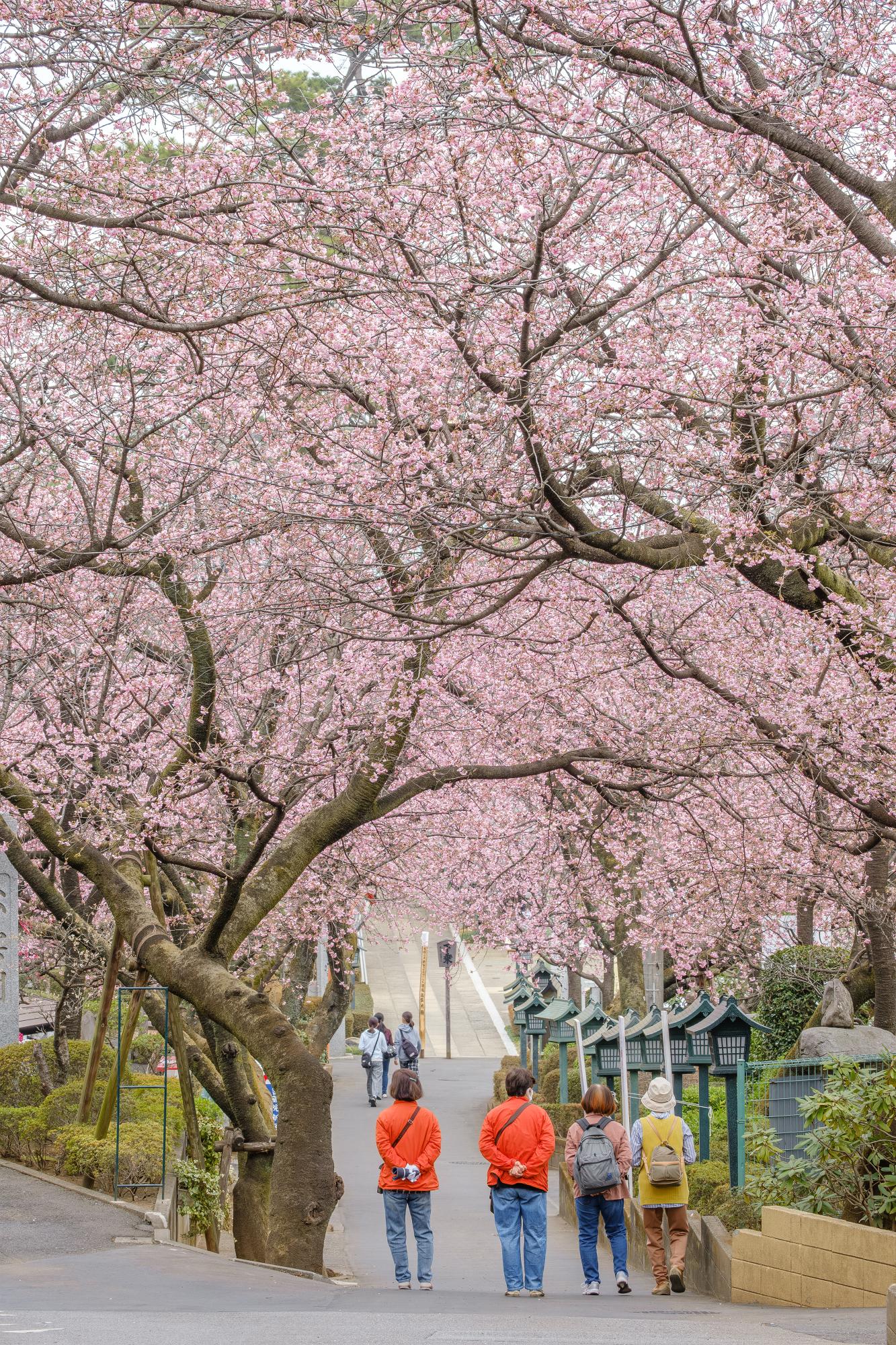 4月号最優秀賞