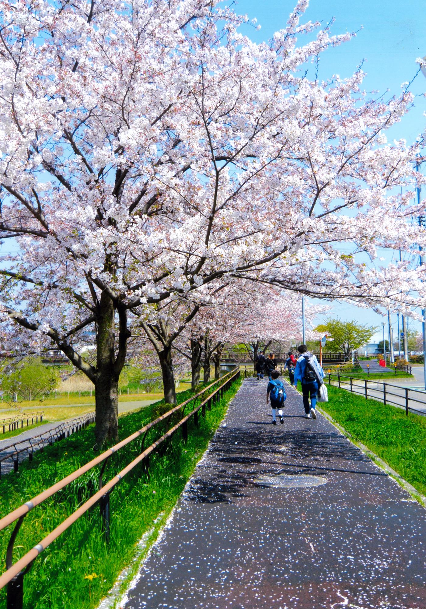 4月号優秀賞