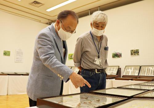 蝶展1
