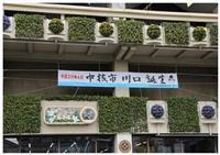 本庁舎正面玄関に中核市移行を周知する横断幕を掲出している写真