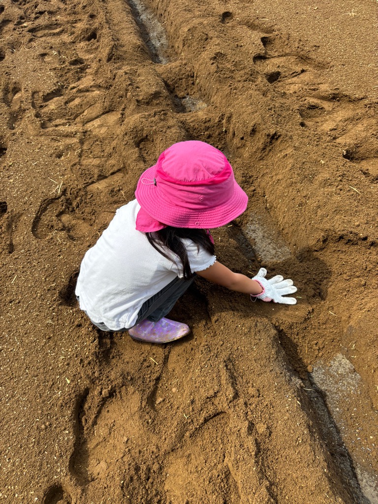 種まき
