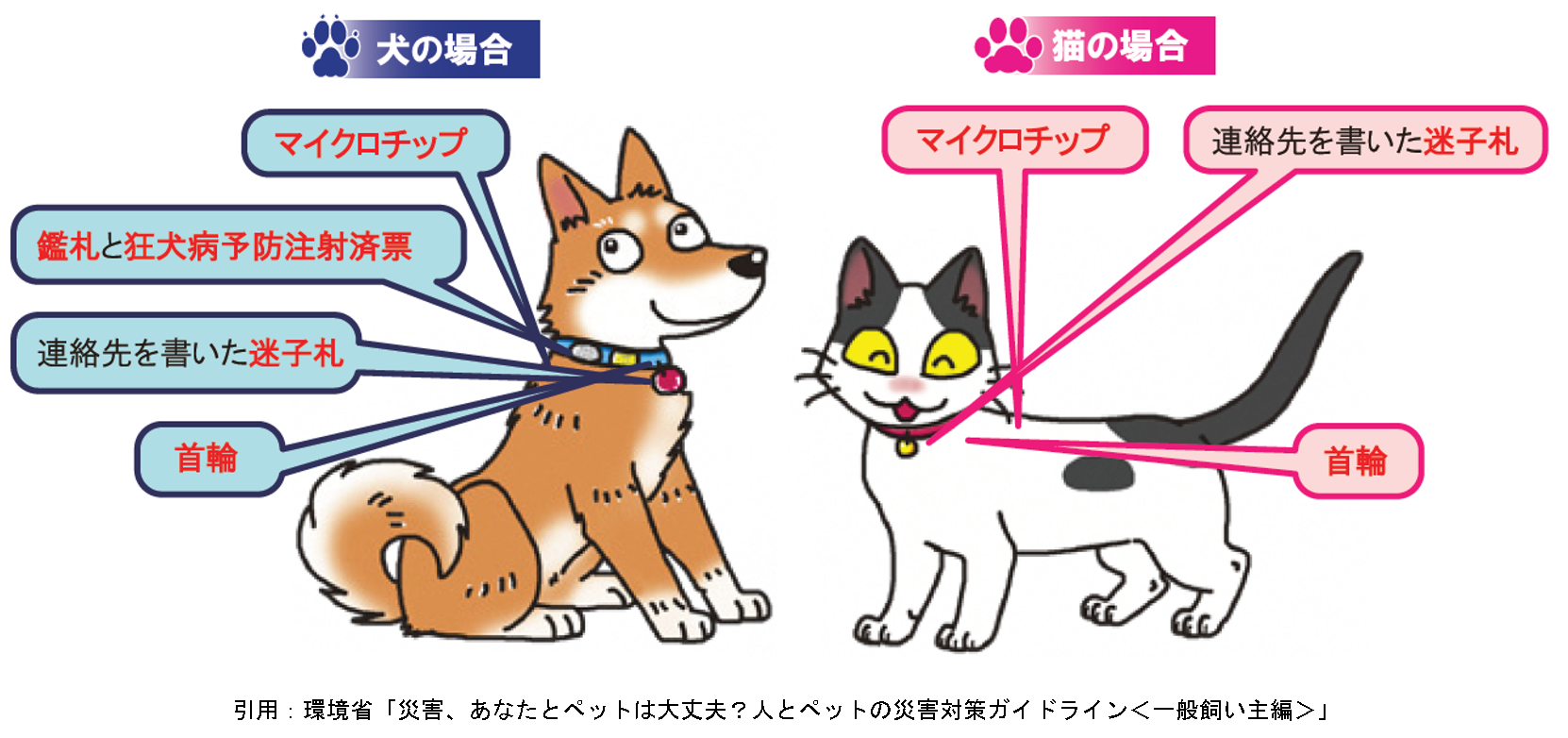 犬猫の身元証明