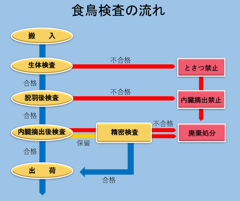 食鳥検査の流れを説明する図です。