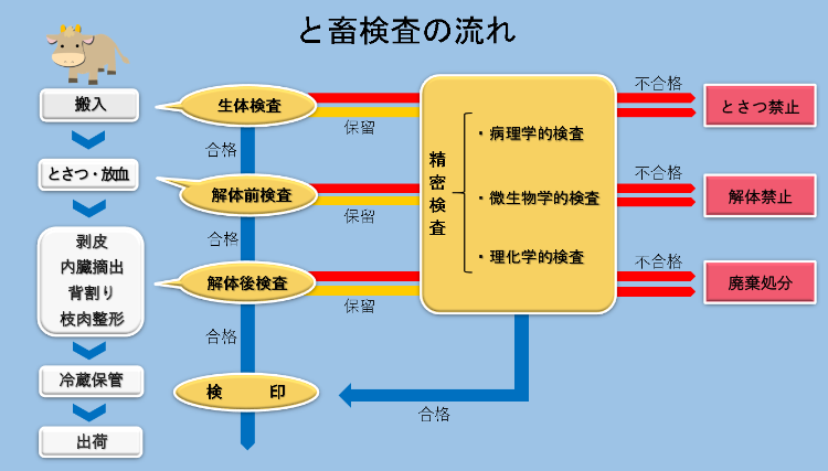 と畜検査の流れ