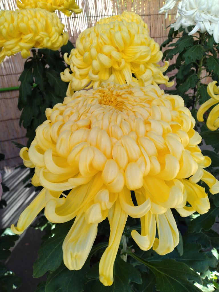 イメージ写真