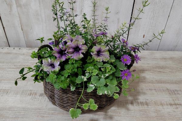 haruirokontenagarden