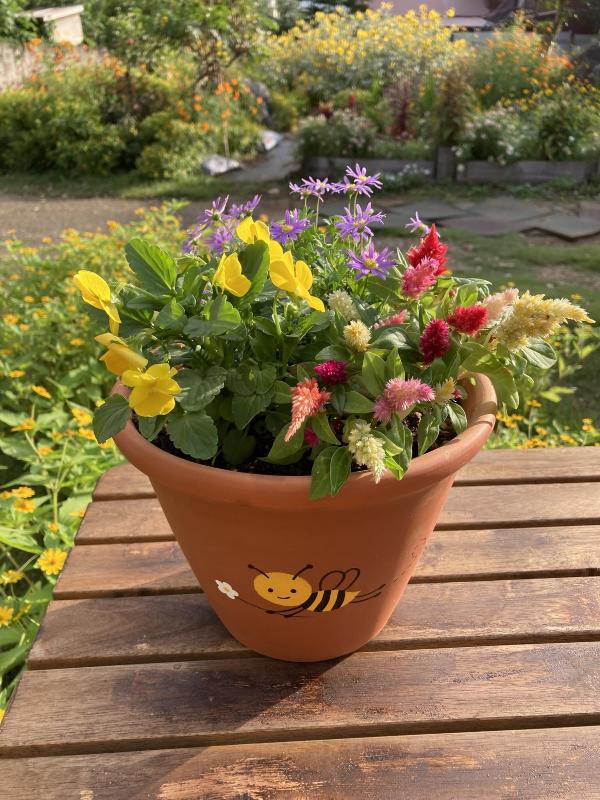 親子寄せ植え
