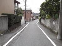 道路に路面塗布された白線の写真