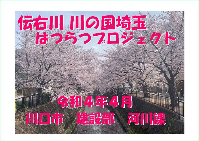 伝右川　川の国埼玉はつらつプロジェクト