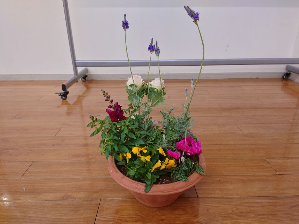 令和7年度完成したコンテナガーデン