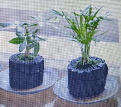 炭の苔玉作品見本