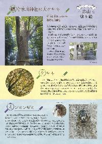 赤山塗り絵シリーズ第4弾ウラ