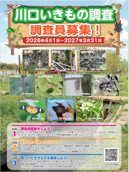 令和8年度川口いきもの調査ポスター
