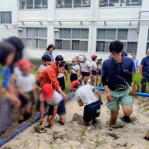 朝日東小学校田植え