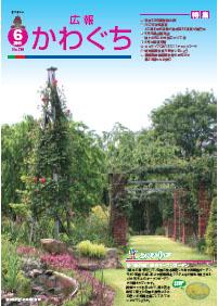 紙面イメージ（広報かわぐち(2011年6月号)）