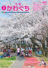 紙面イメージ（広報かわぐち(2013年3月号)）