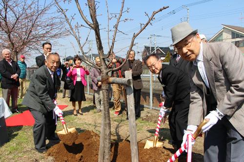 安行出羽公園で記念植樹する市長の写真