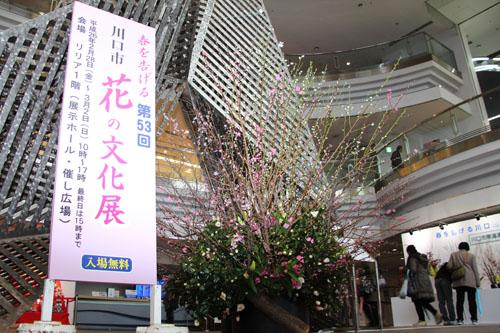 第53回川口市花の文化展の会場前に設営された看板と展示品の写真