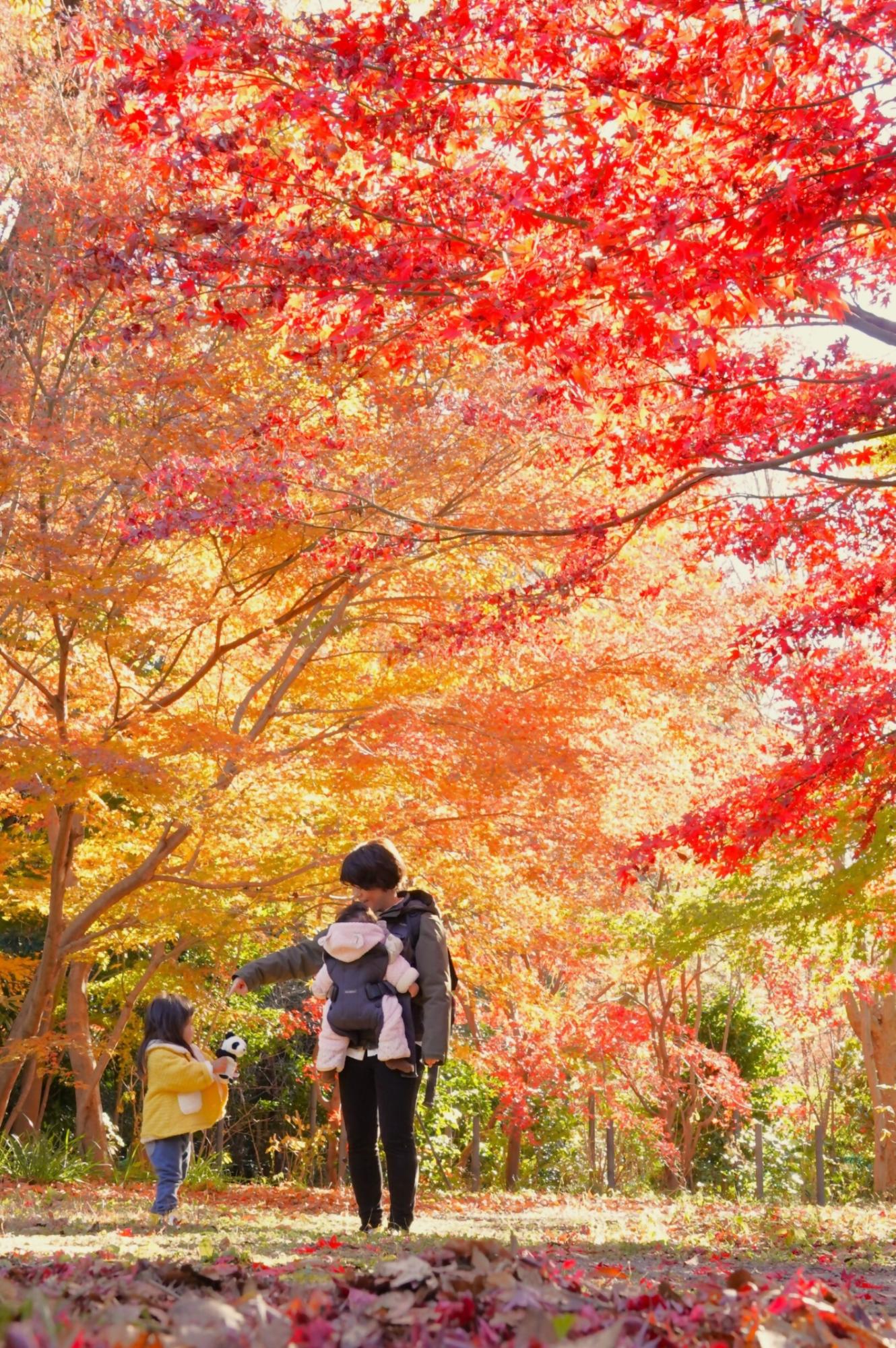 広報かわぐち令和7年11月号表紙最優秀賞