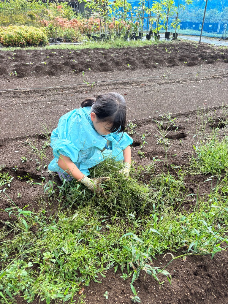 雑草