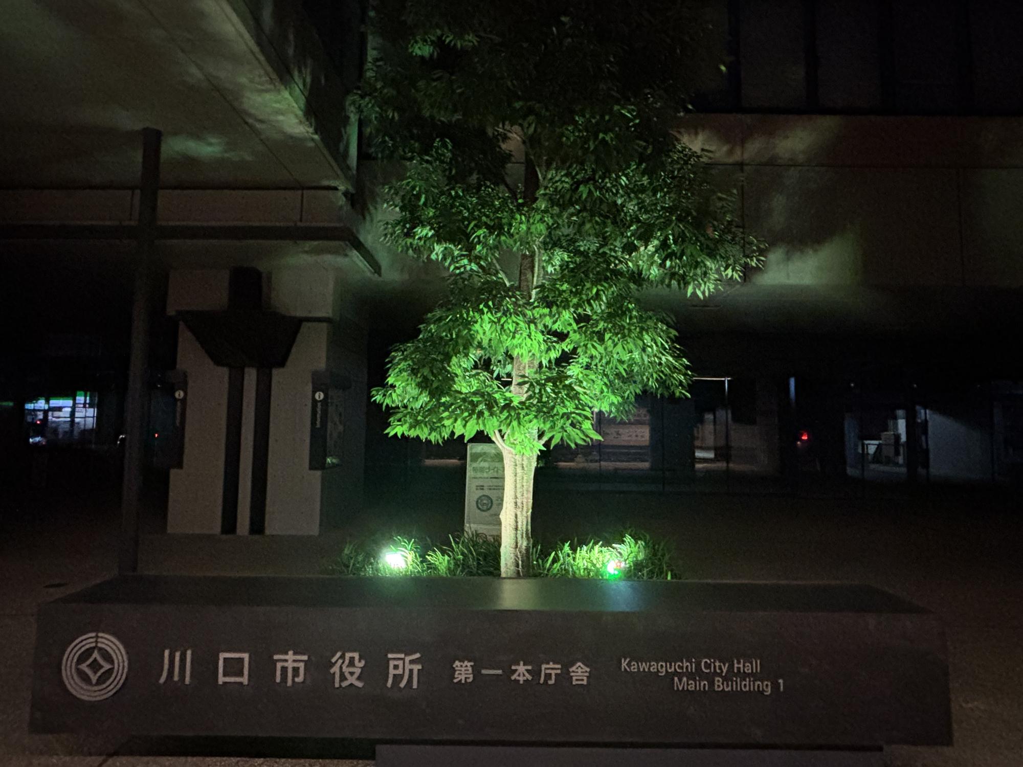 令和8年度ライトアップの様子