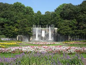 グリーンセンター