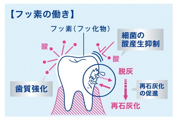 フッ素