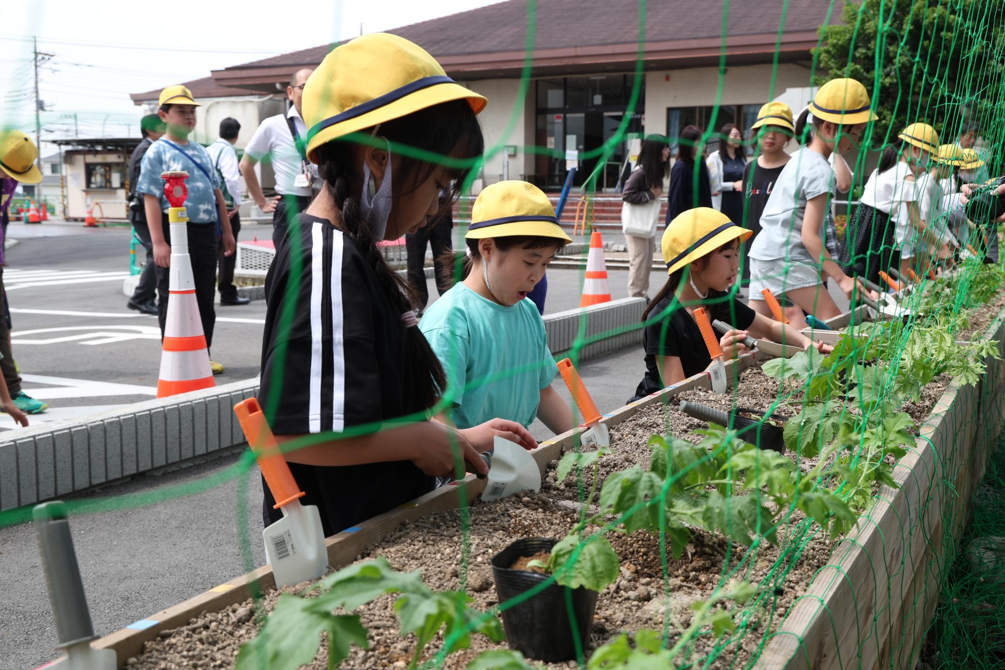 令和7年5月14日の苗植式の様子その1
