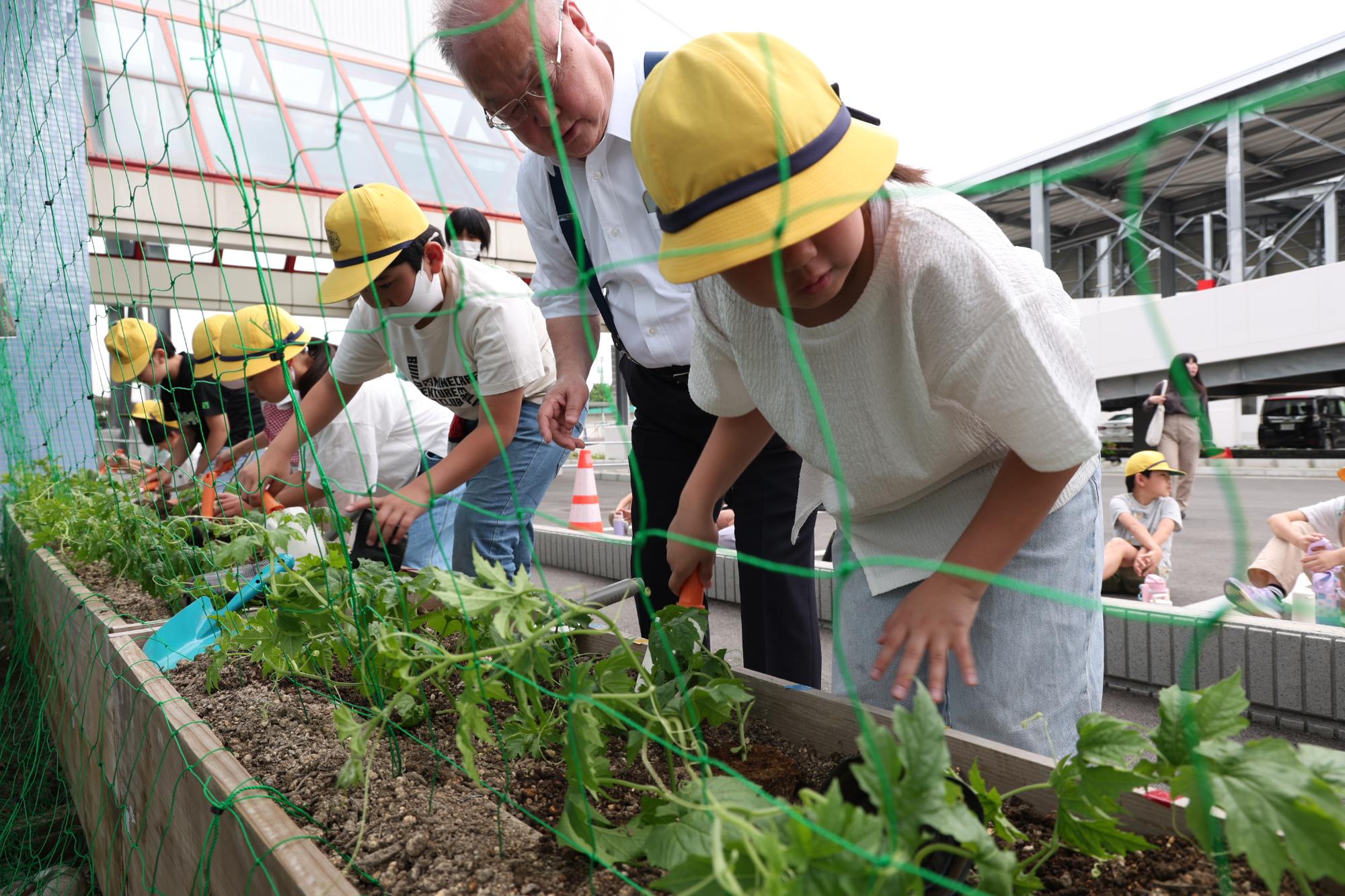 令和7年5月14日の苗植式の様子その2