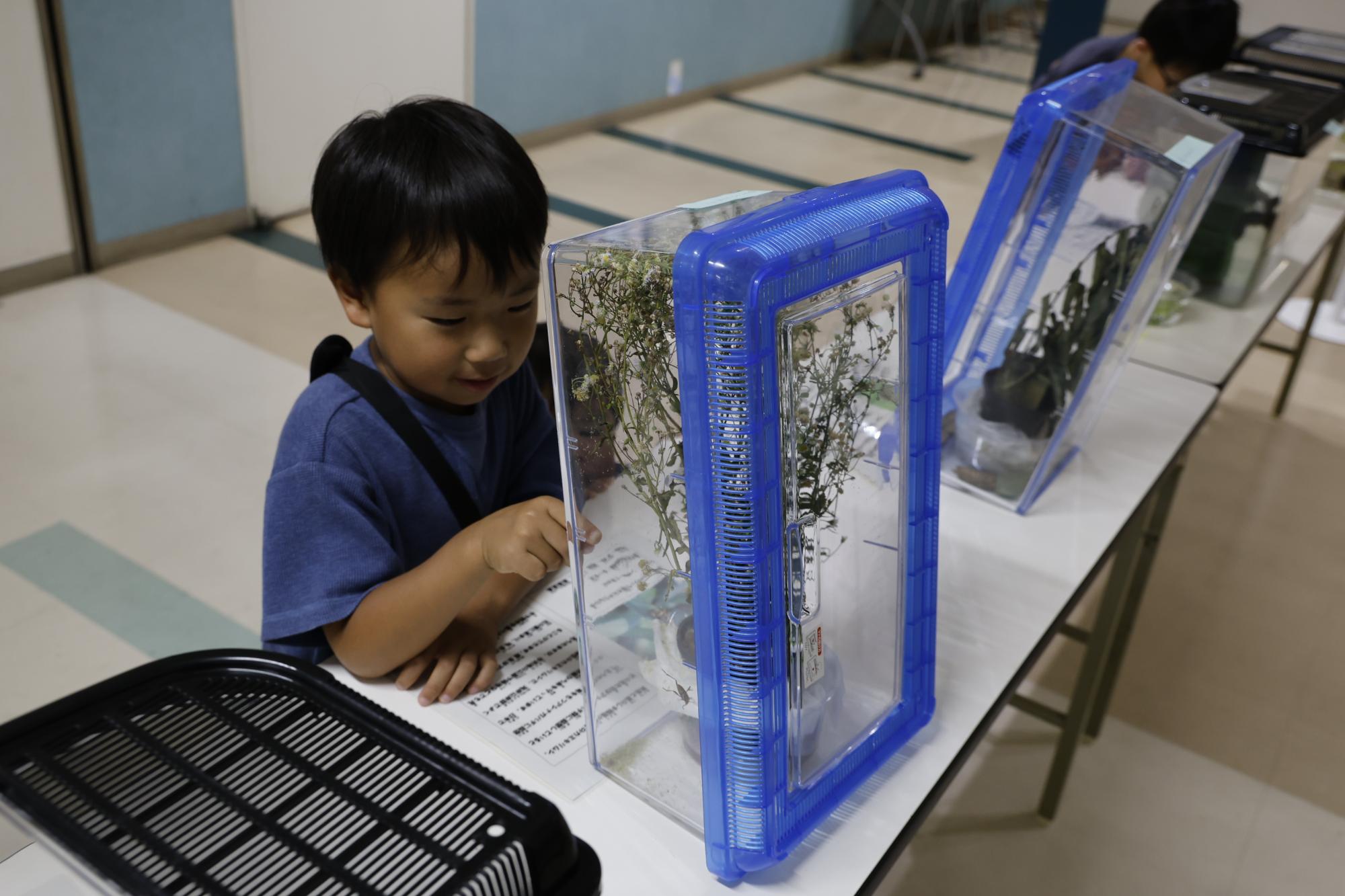 自然保護対策課