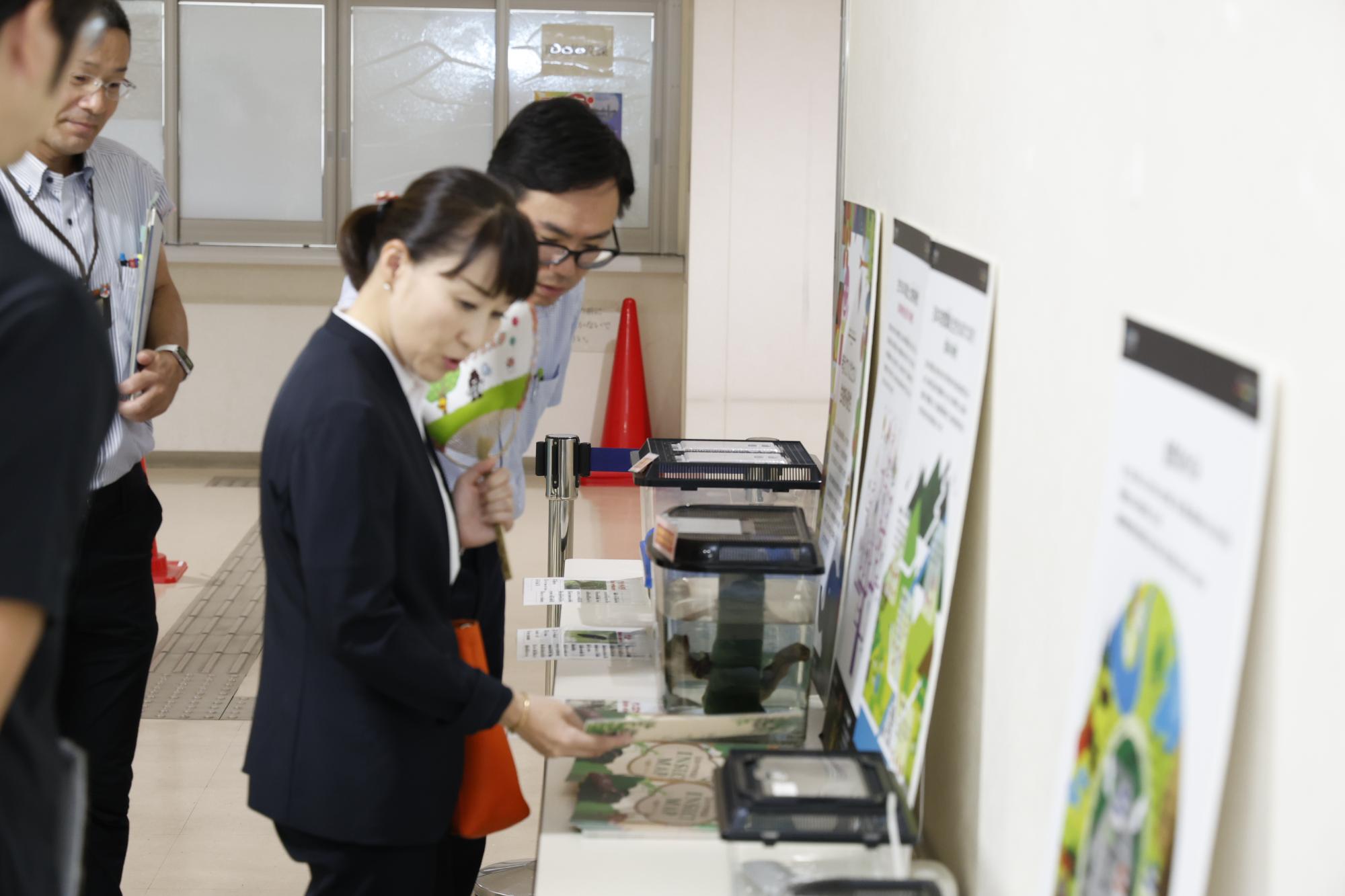 むしの展示