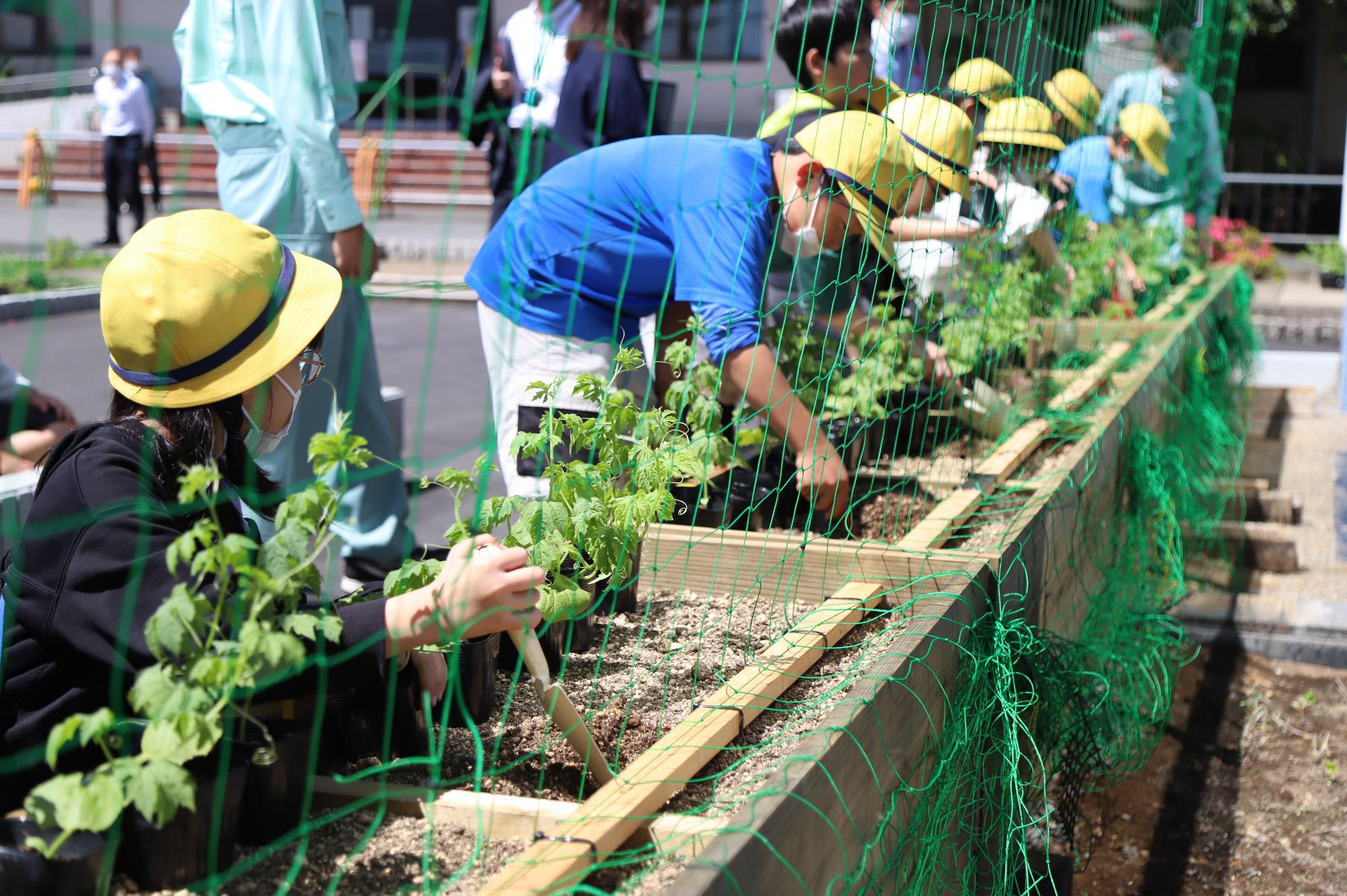 令和5年5月24日の苗植式の様子その2