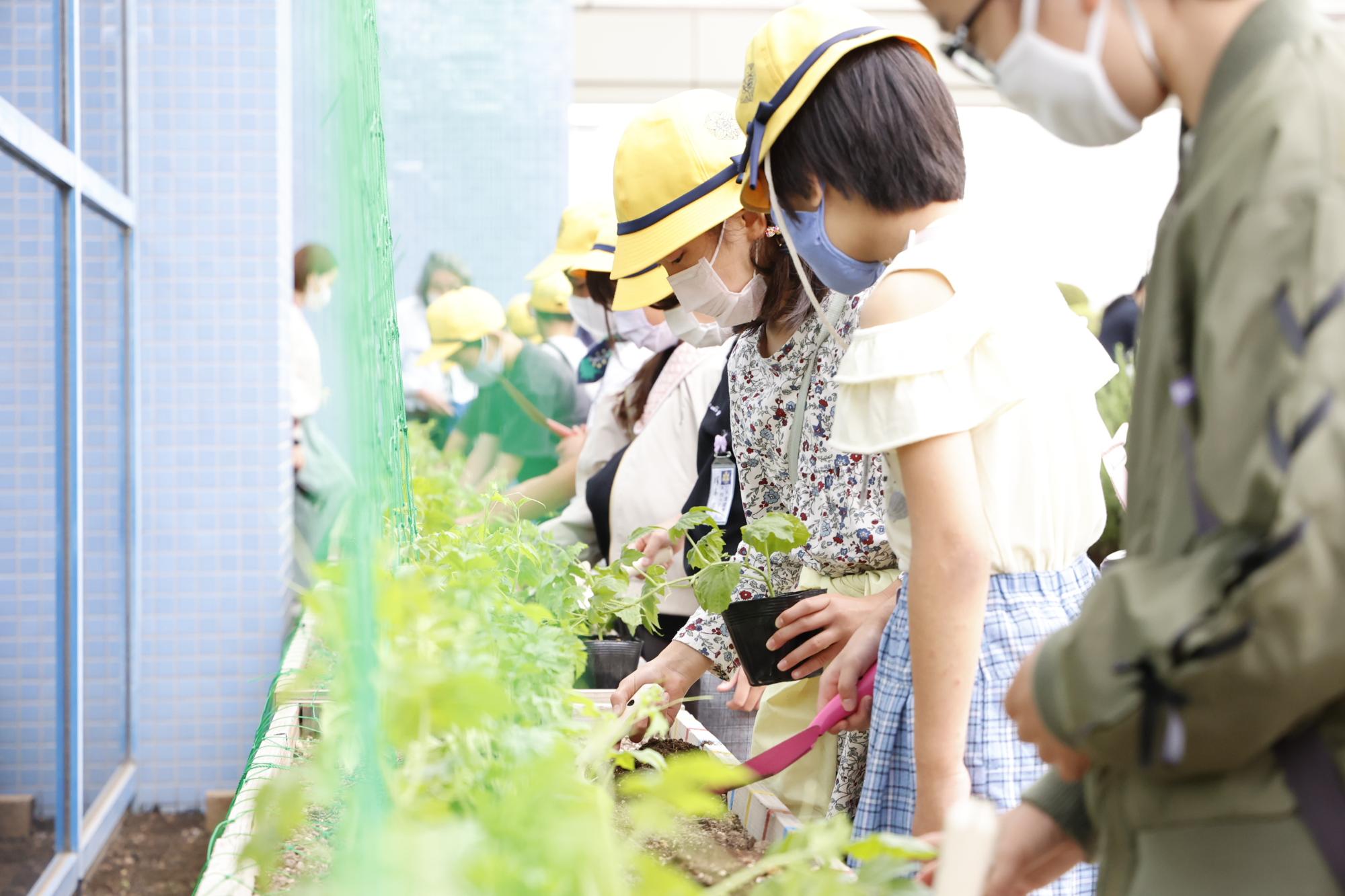 令和4年4月26日の苗植式の様子その2